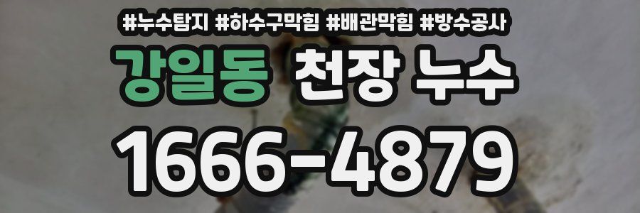 강일동 천장 누수