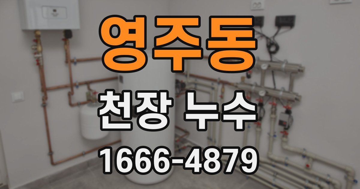 영주동 천장 누수
