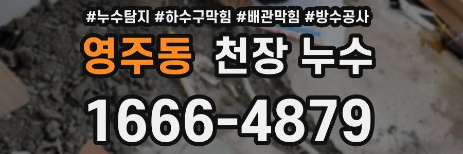 영주동 천장 누수