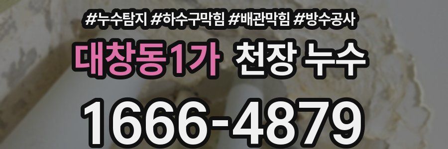 대창동1가 천장 누수