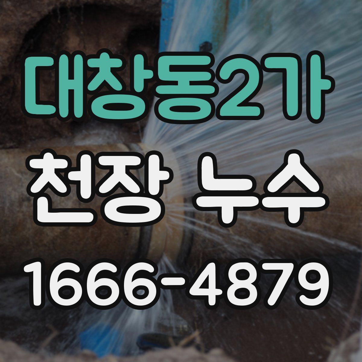 대창동2가 천장 누수