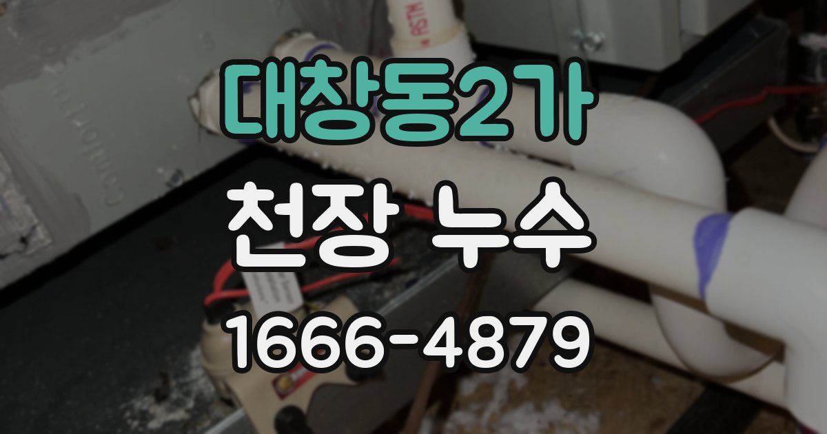 대창동2가 천장 누수