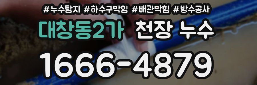 대창동2가 천장 누수