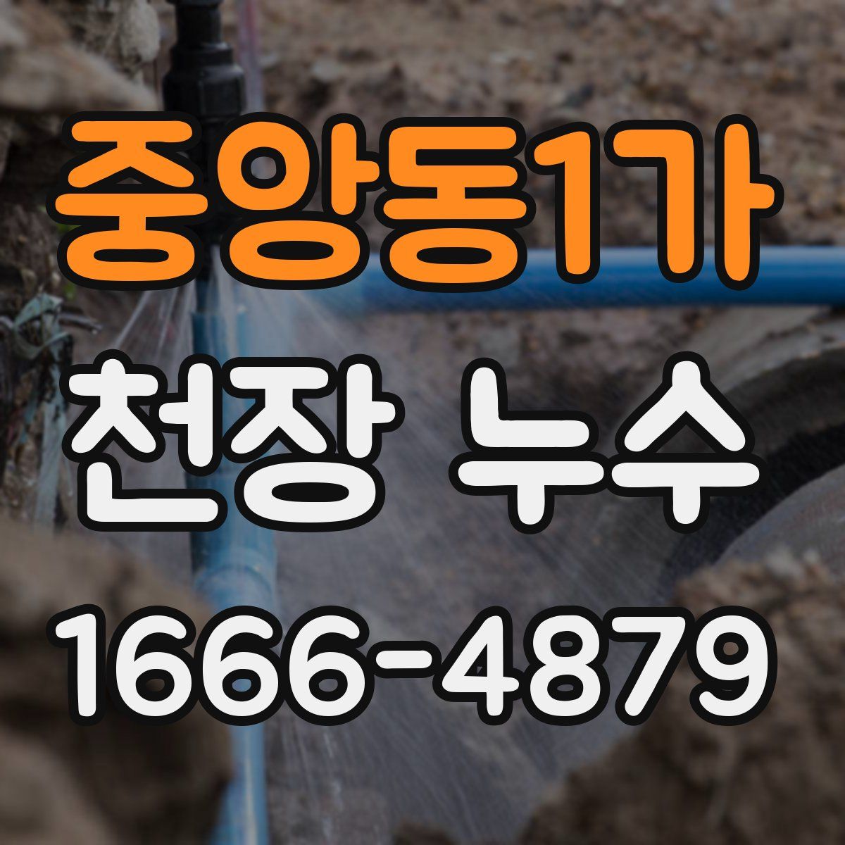 중앙동1가 천장 누수