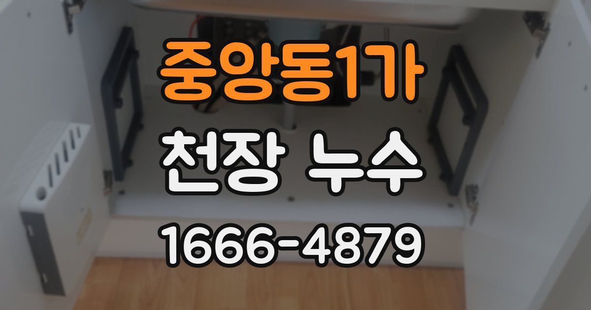 중앙동1가 천장 누수