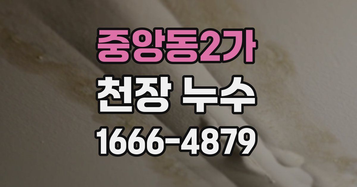 중앙동2가 천장 누수
