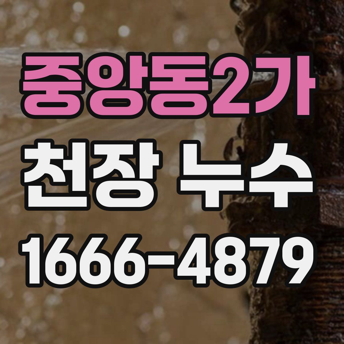 중앙동2가 천장 누수