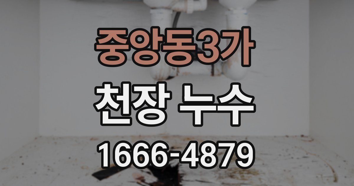 중앙동3가 천장 누수