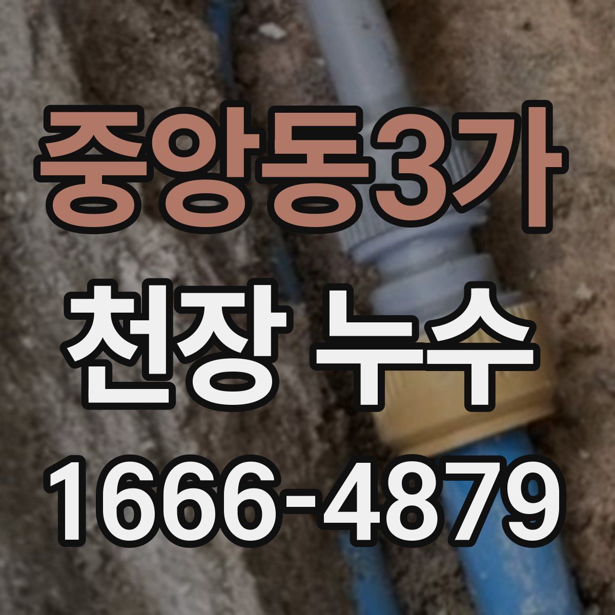 중앙동3가 천장 누수