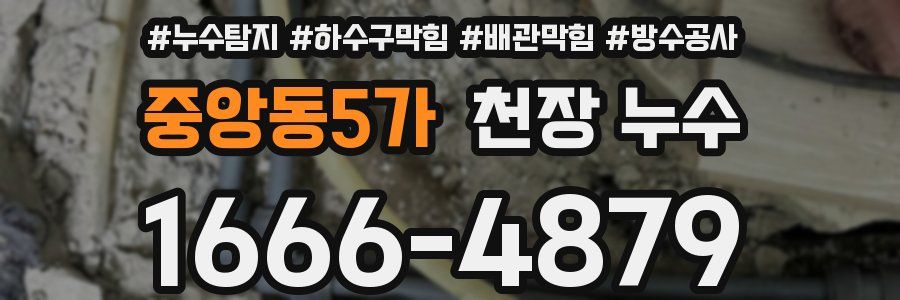 중앙동5가 천장 누수