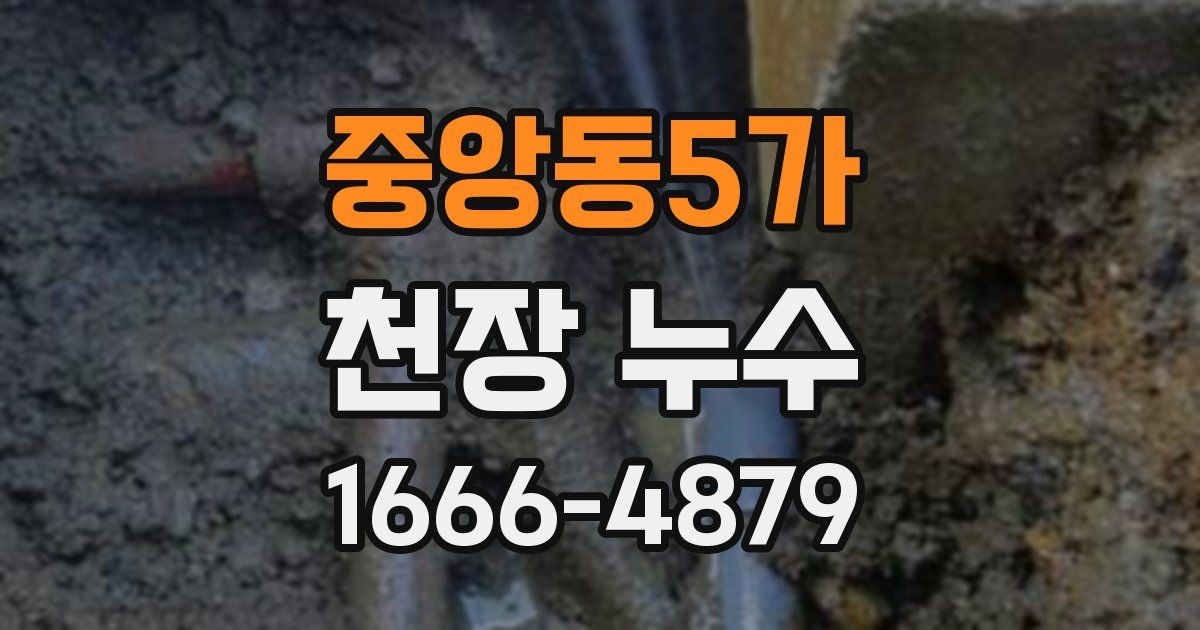 중앙동5가 천장 누수