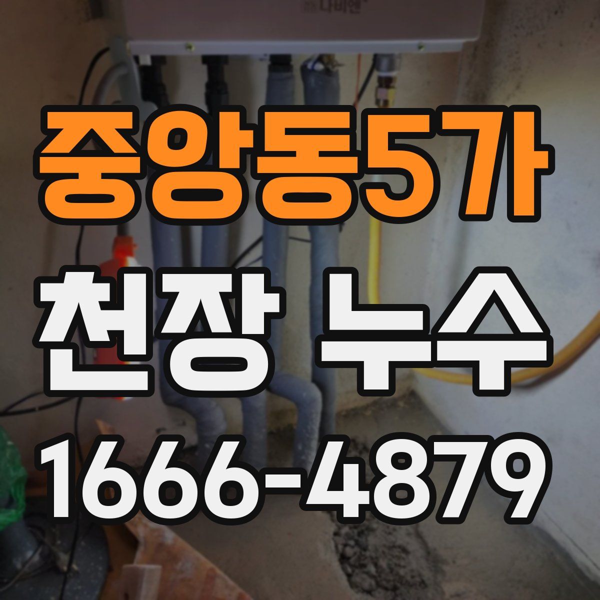 중앙동5가 천장 누수