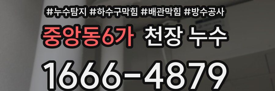 중앙동6가 천장 누수