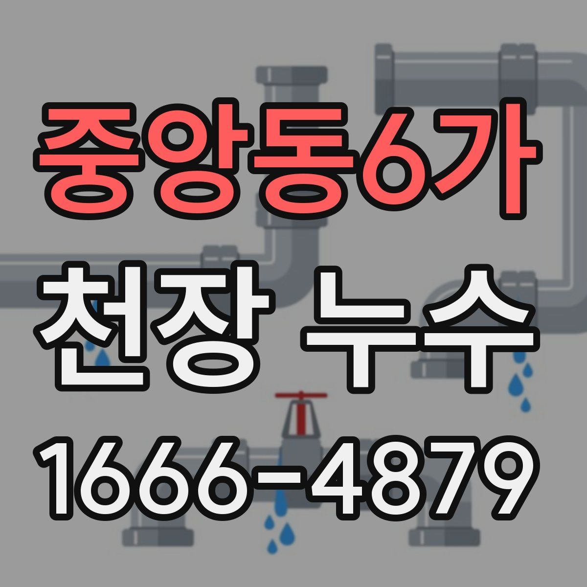 중앙동6가 천장 누수