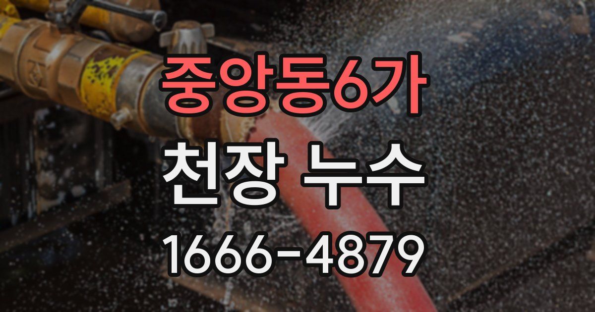 중앙동6가 천장 누수