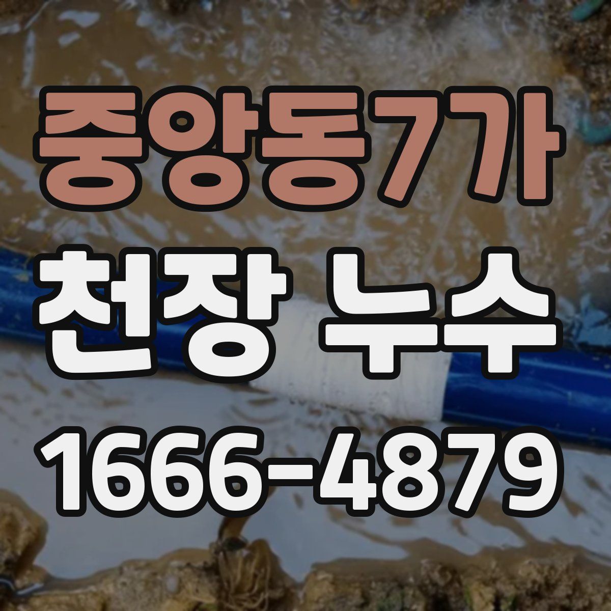 중앙동7가 천장 누수
