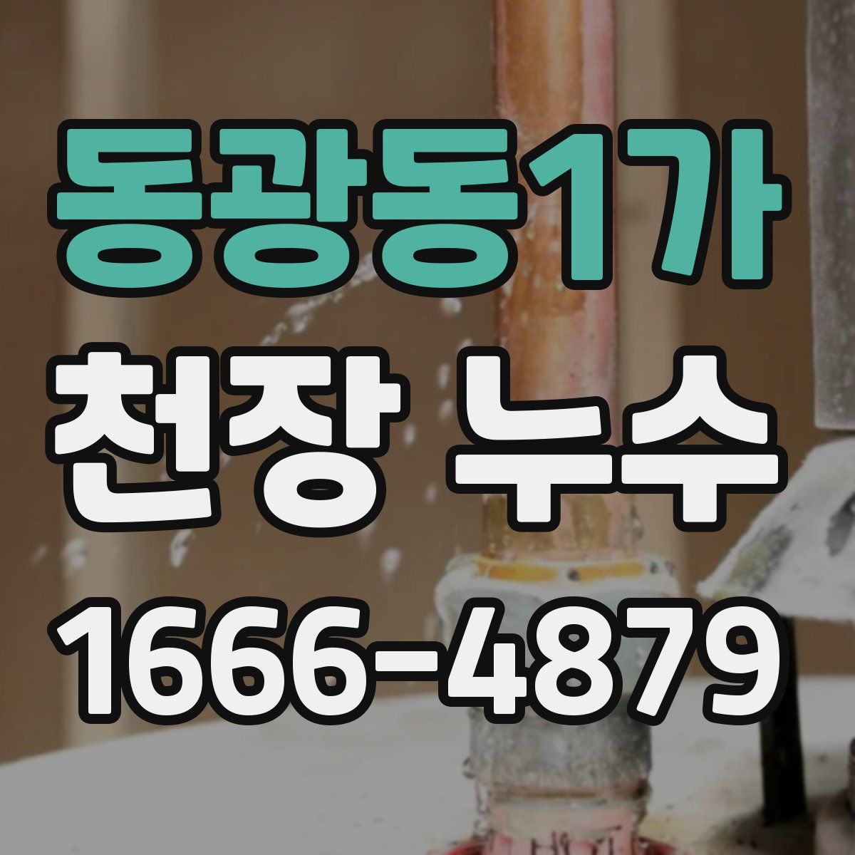 동광동1가 천장 누수