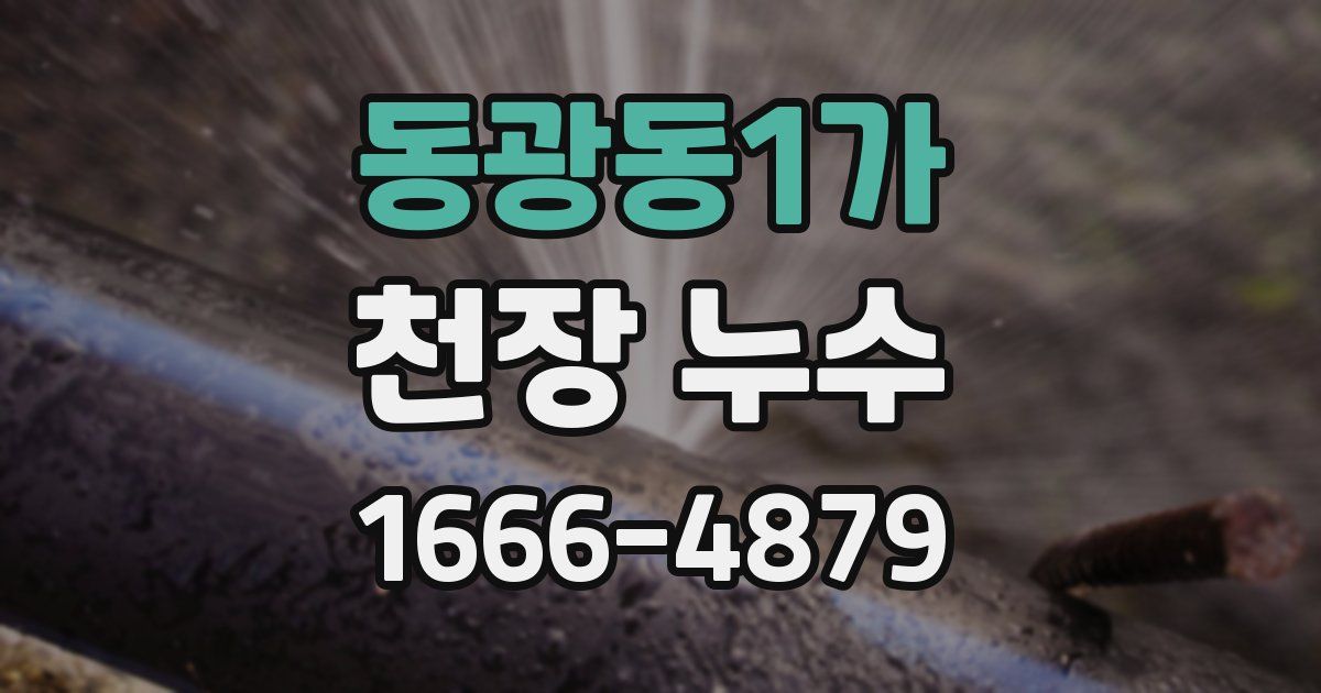 동광동1가 천장 누수