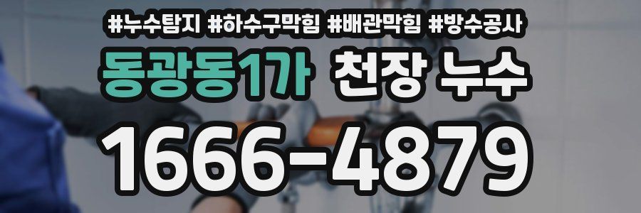 동광동1가 천장 누수