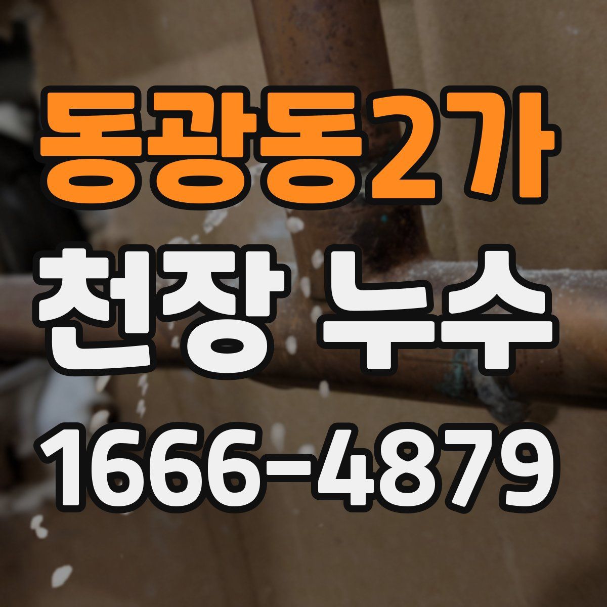 동광동2가 천장 누수