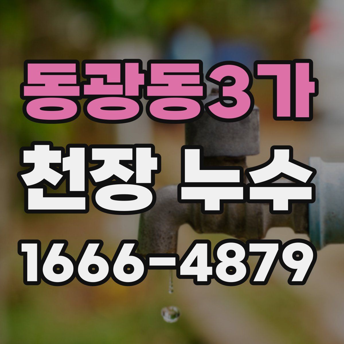 동광동3가 천장 누수
