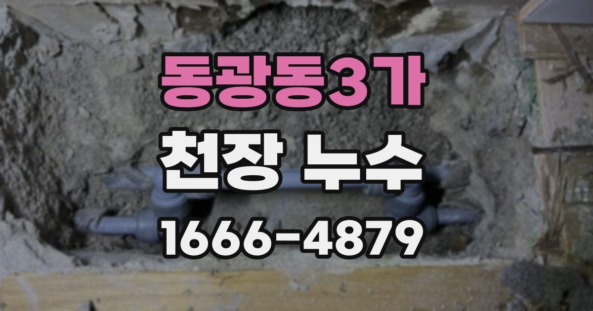 동광동3가 천장 누수