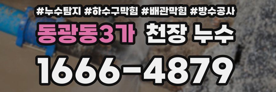 동광동3가 천장 누수