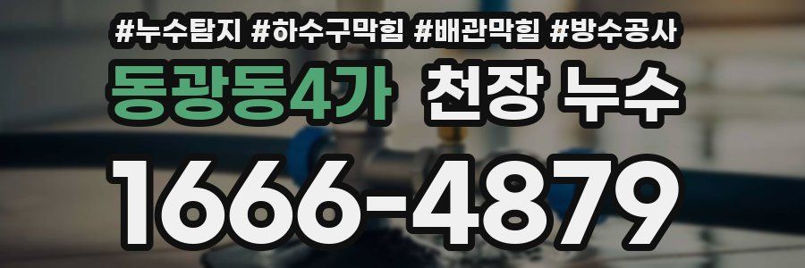 동광동4가 천장 누수