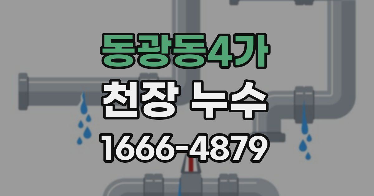 동광동4가 천장 누수