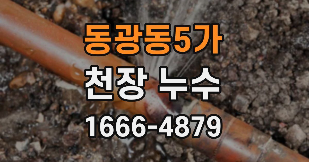 동광동5가 천장 누수