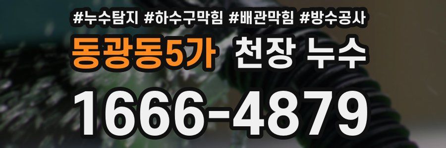 동광동5가 천장 누수