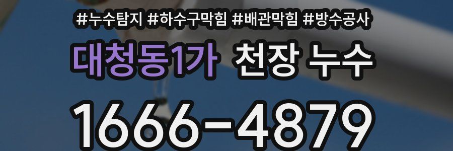 대청동1가 천장 누수