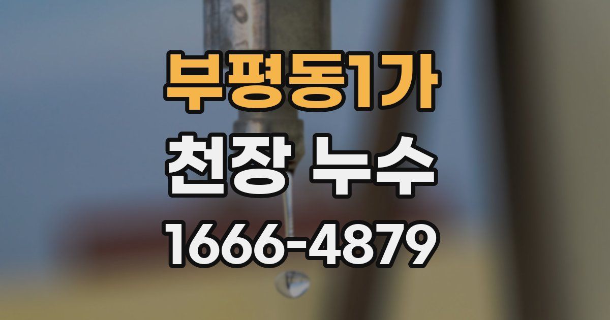 부평동1가 천장 누수
