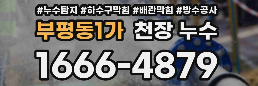 부평동1가 천장 누수