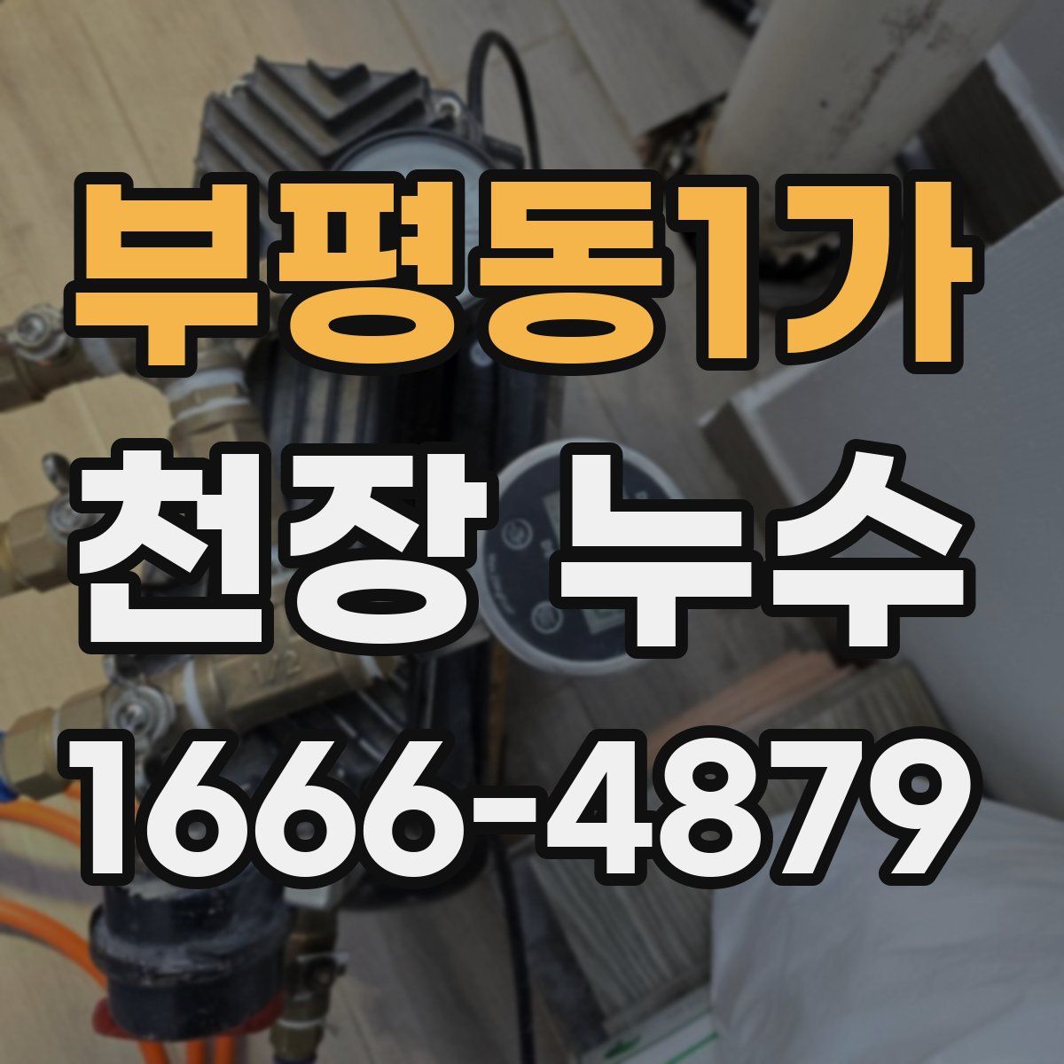 부평동1가 천장 누수