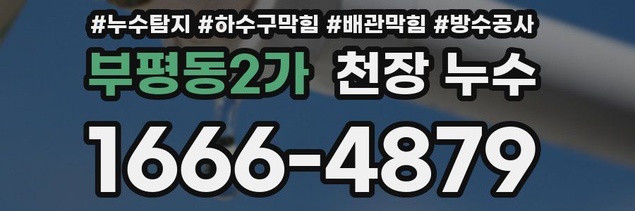 부평동2가 천장 누수
