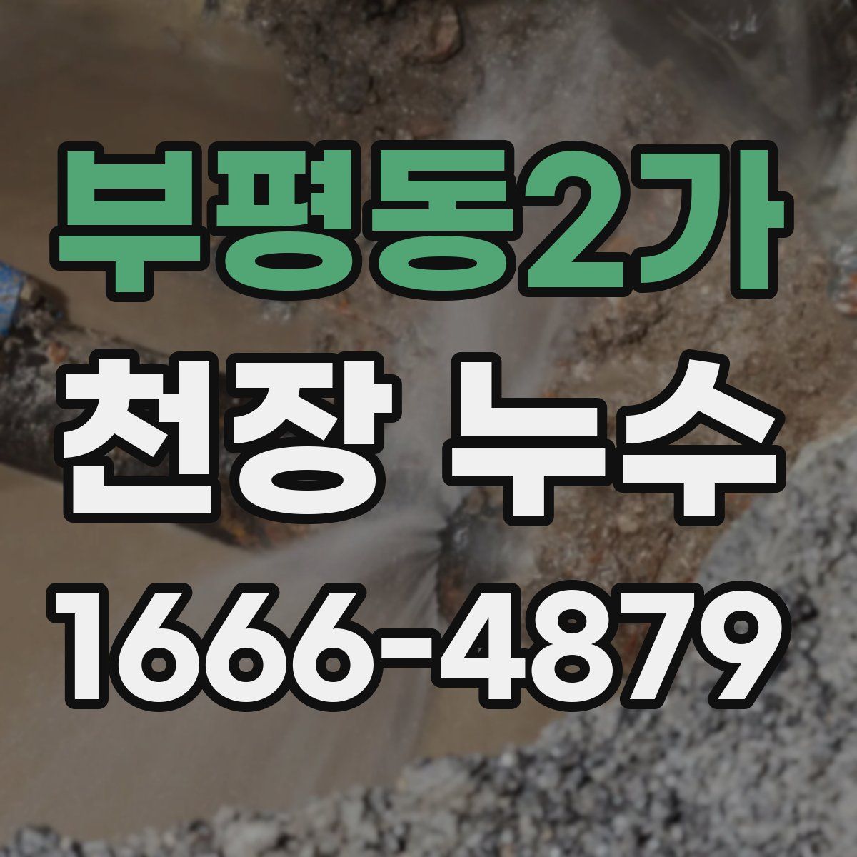 부평동2가 천장 누수