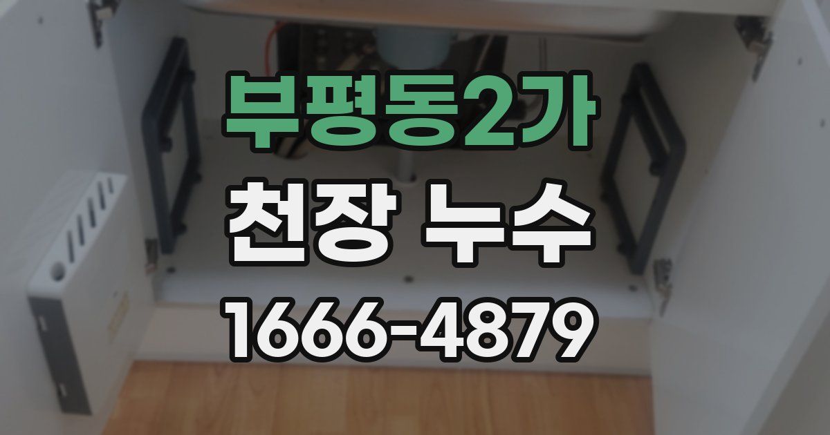 부평동2가 천장 누수