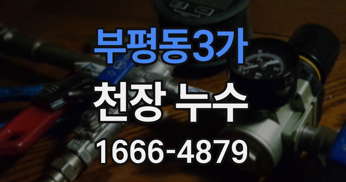 부평동3가 천장 누수