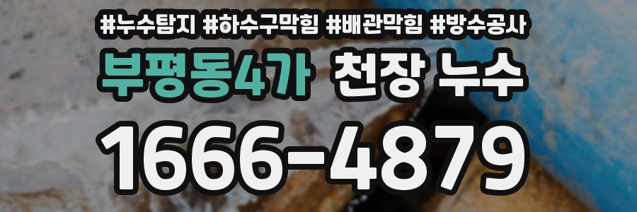 부평동4가 천장 누수