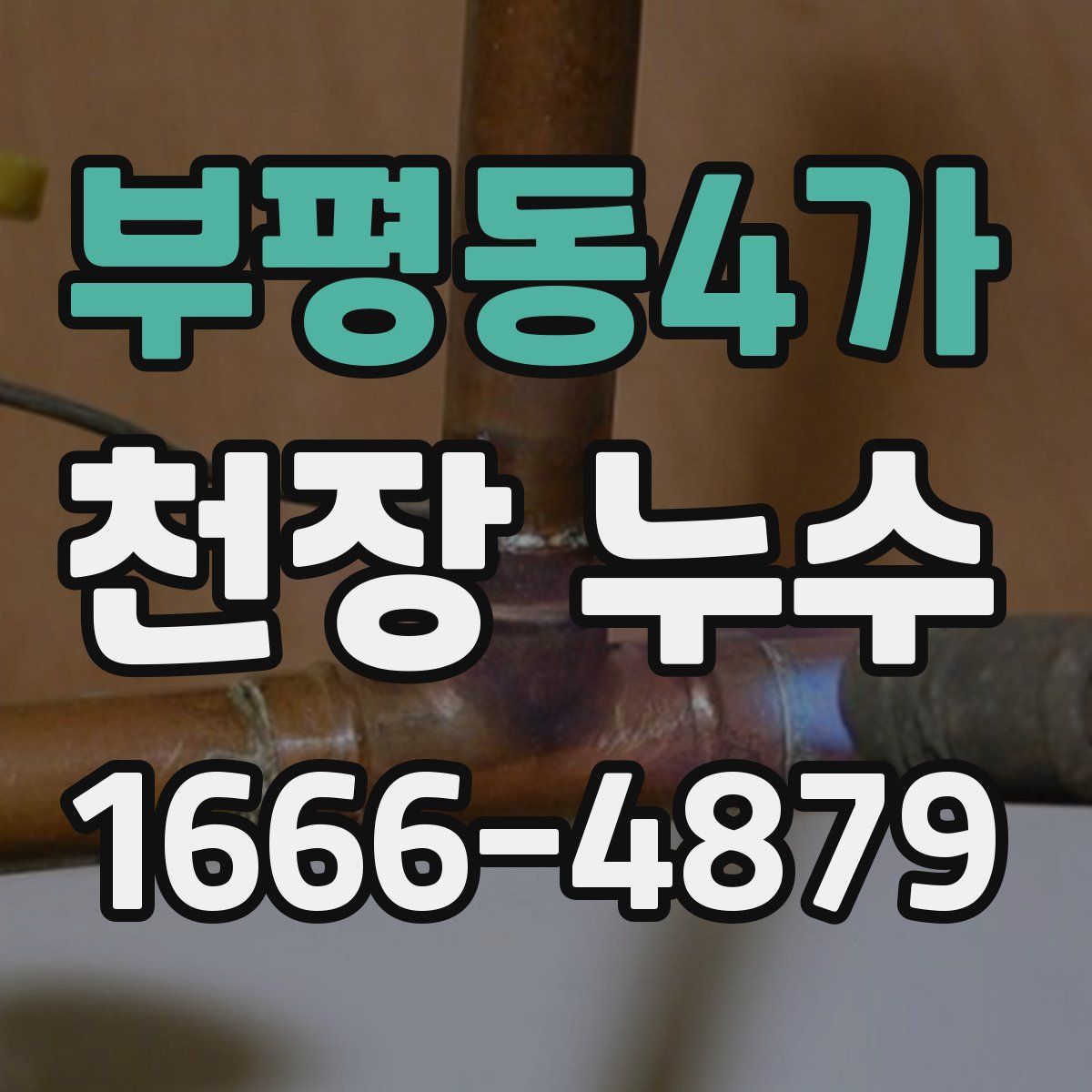 부평동4가 천장 누수