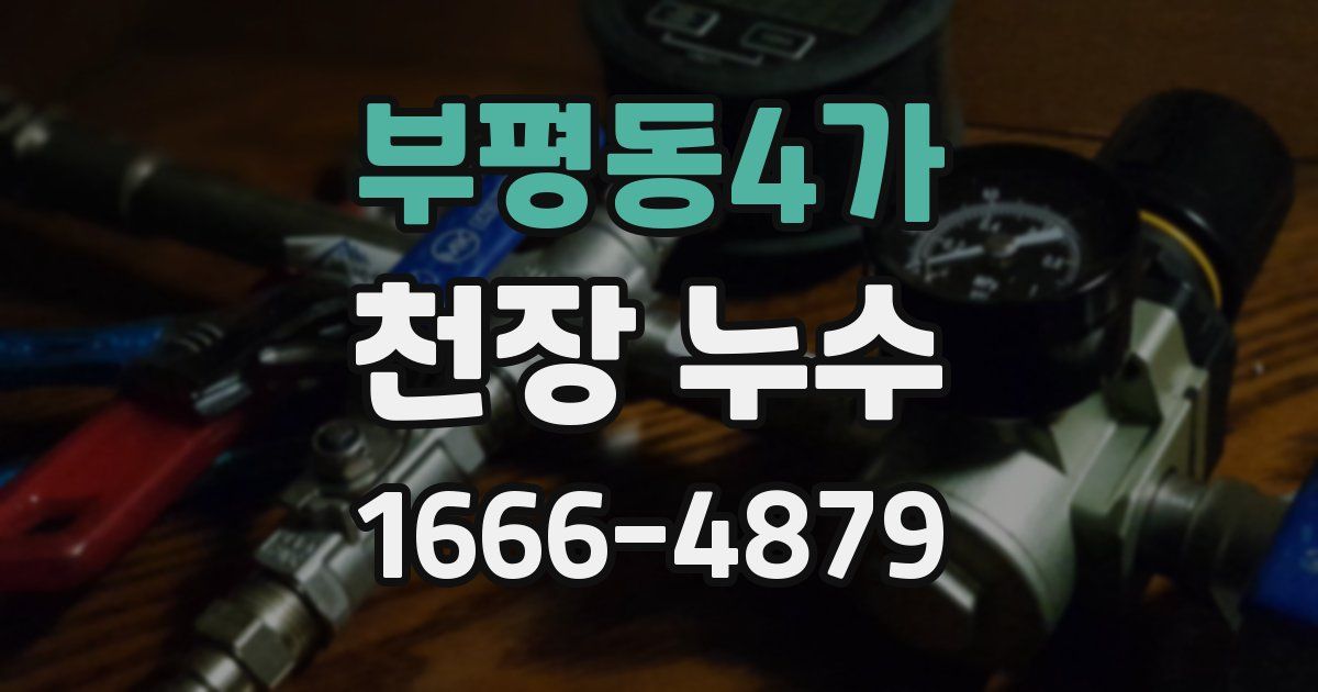 부평동4가 천장 누수