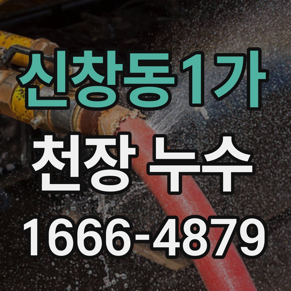 신창동1가 천장 누수
