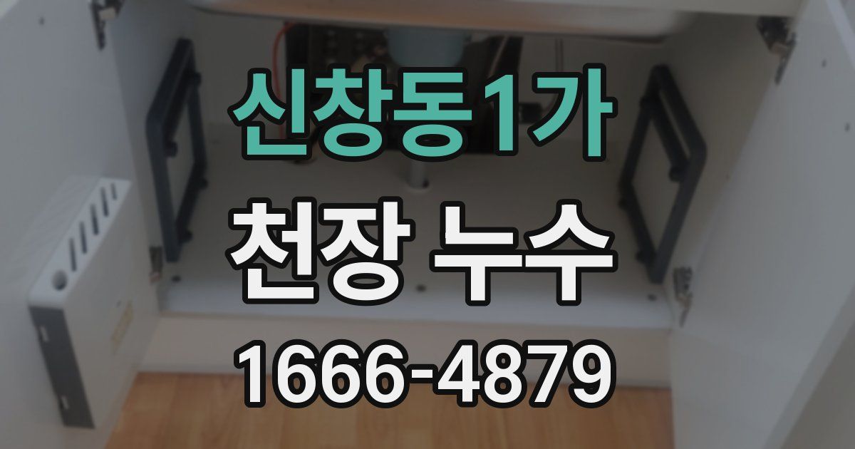 신창동1가 천장 누수