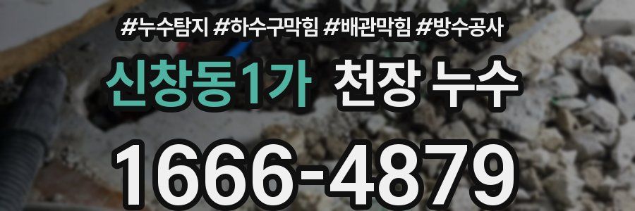 신창동1가 천장 누수