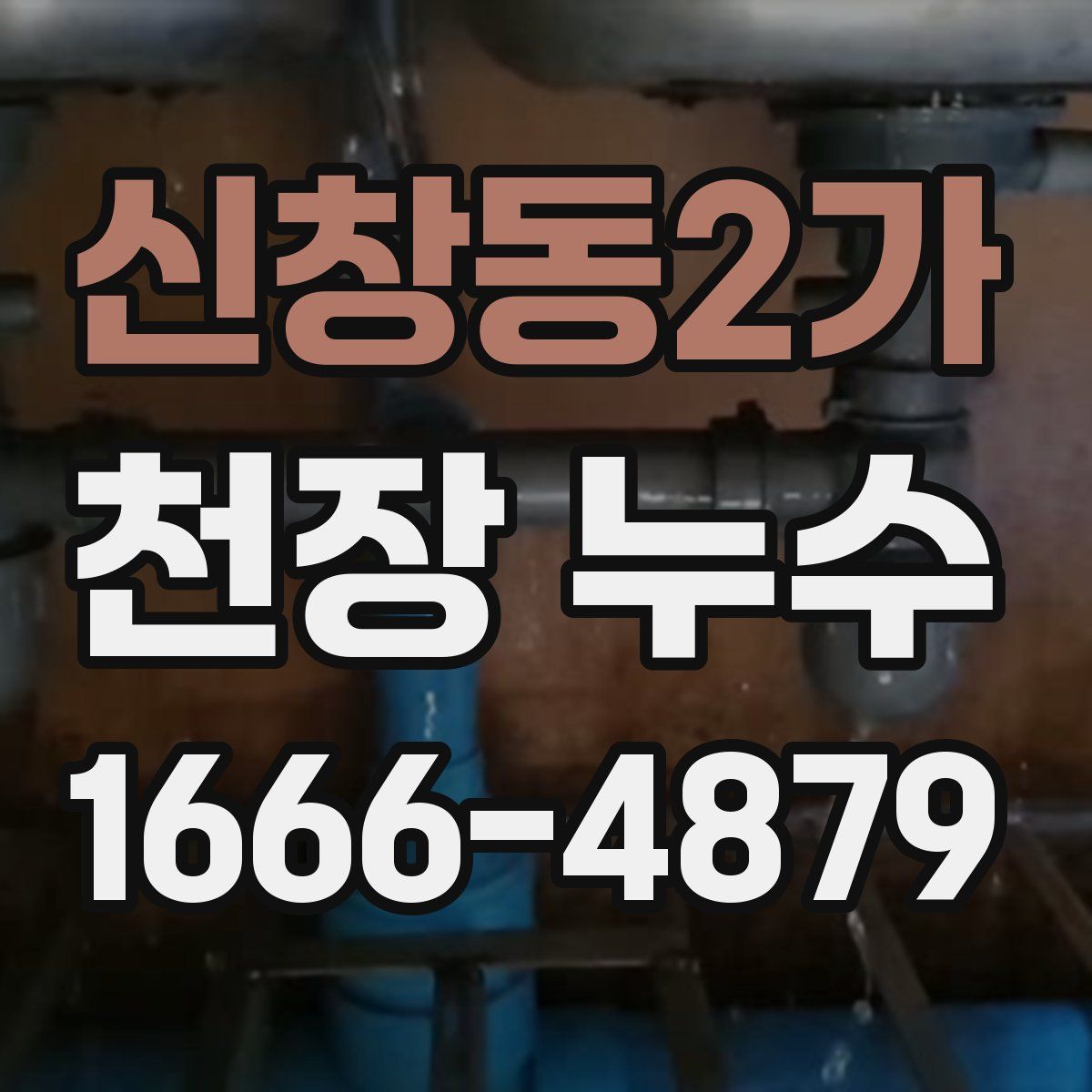 신창동2가 천장 누수