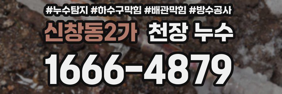 신창동2가 천장 누수
