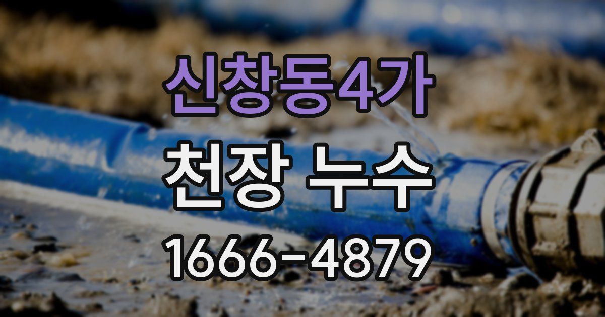 신창동4가 천장 누수