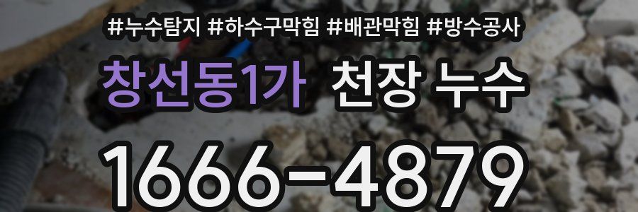 창선동1가 천장 누수
