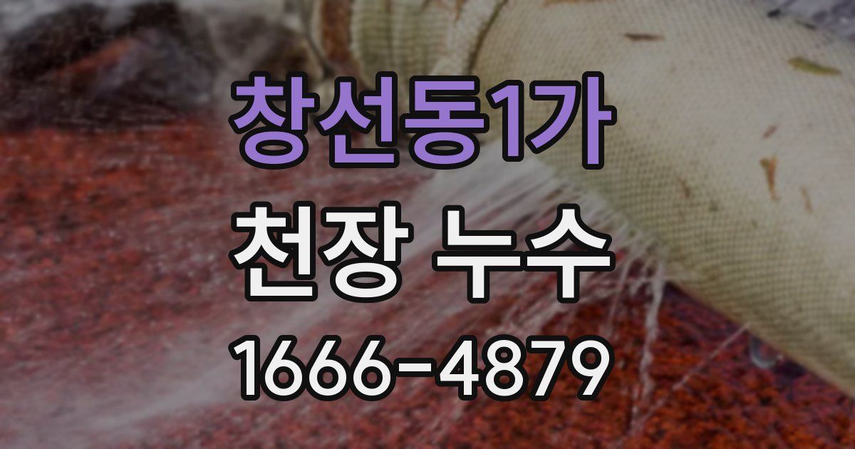 창선동1가 천장 누수